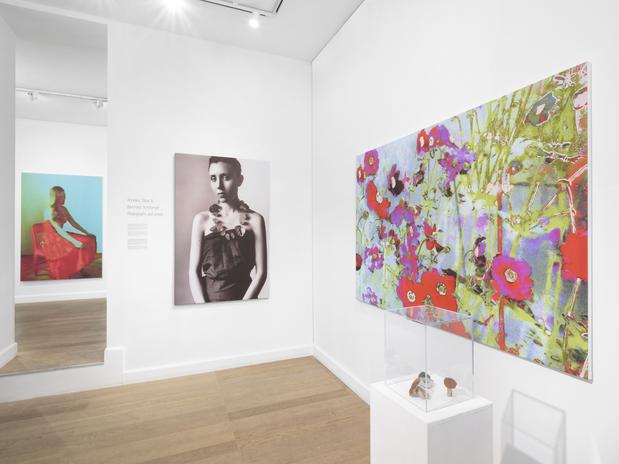 Photographs and Jewels at Gowen Contemporary