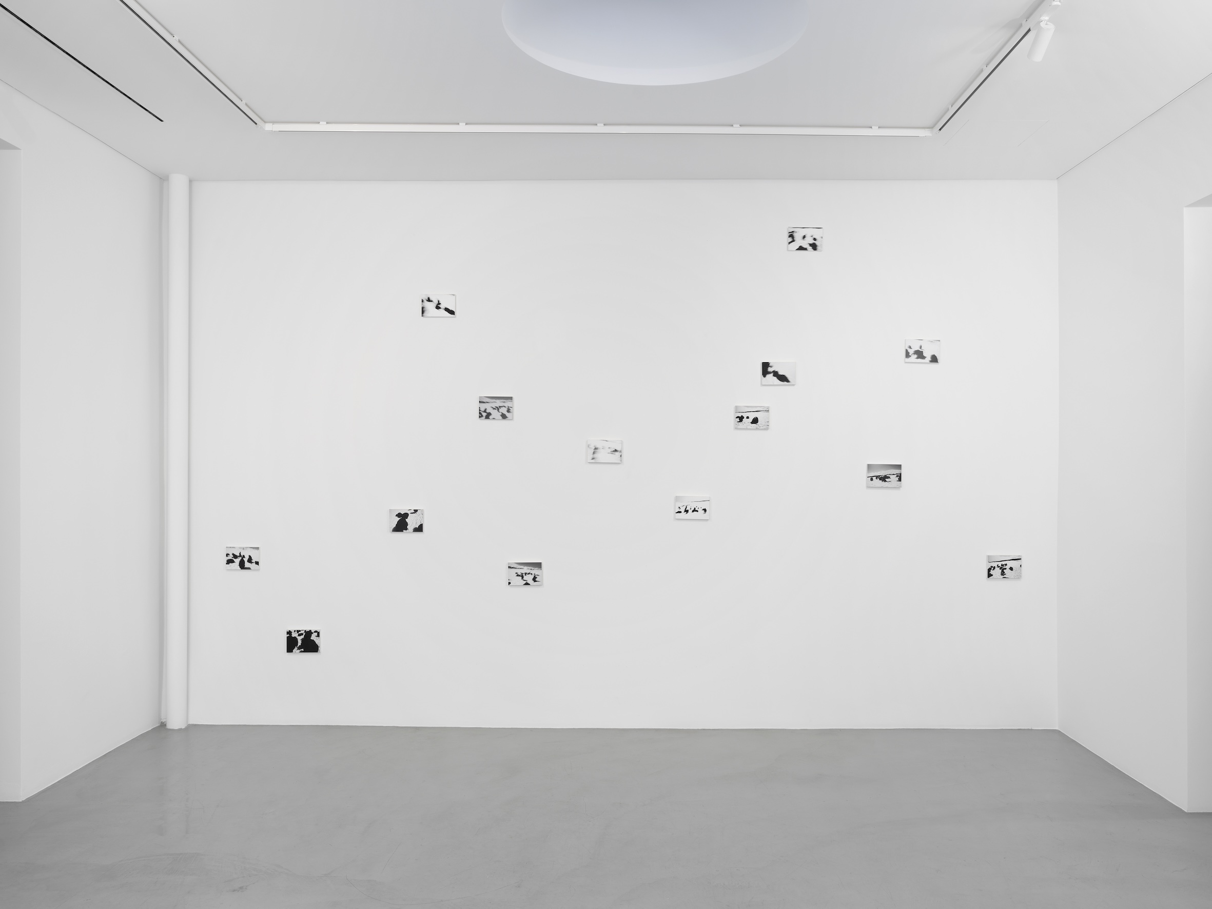 Song of the Chimeras by Yuval Avital at Gowen Contemporary