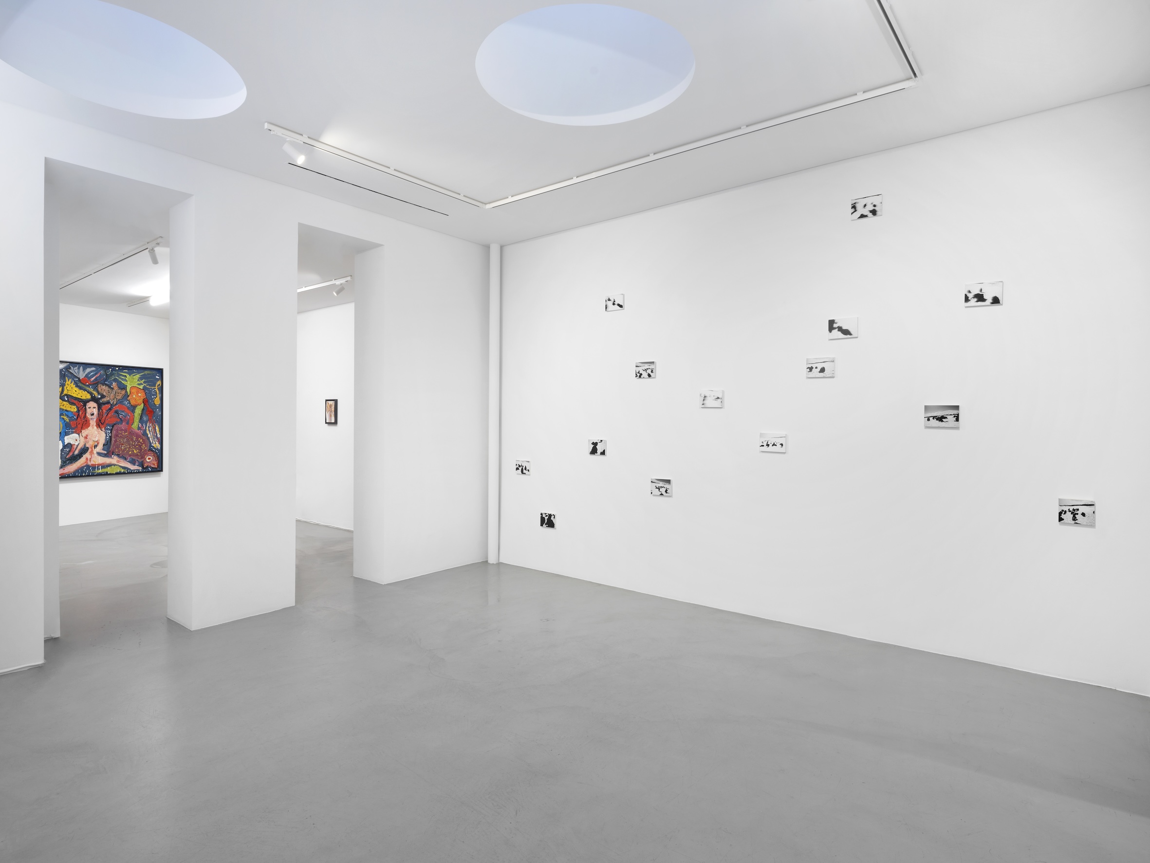 Song of the Chimeras by Yuval Avital at Gowen Contemporary