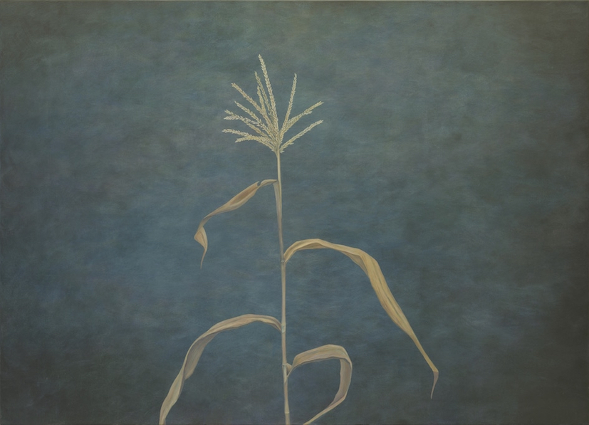 Ciel, brume et cumulus at Gowen Contemporary
