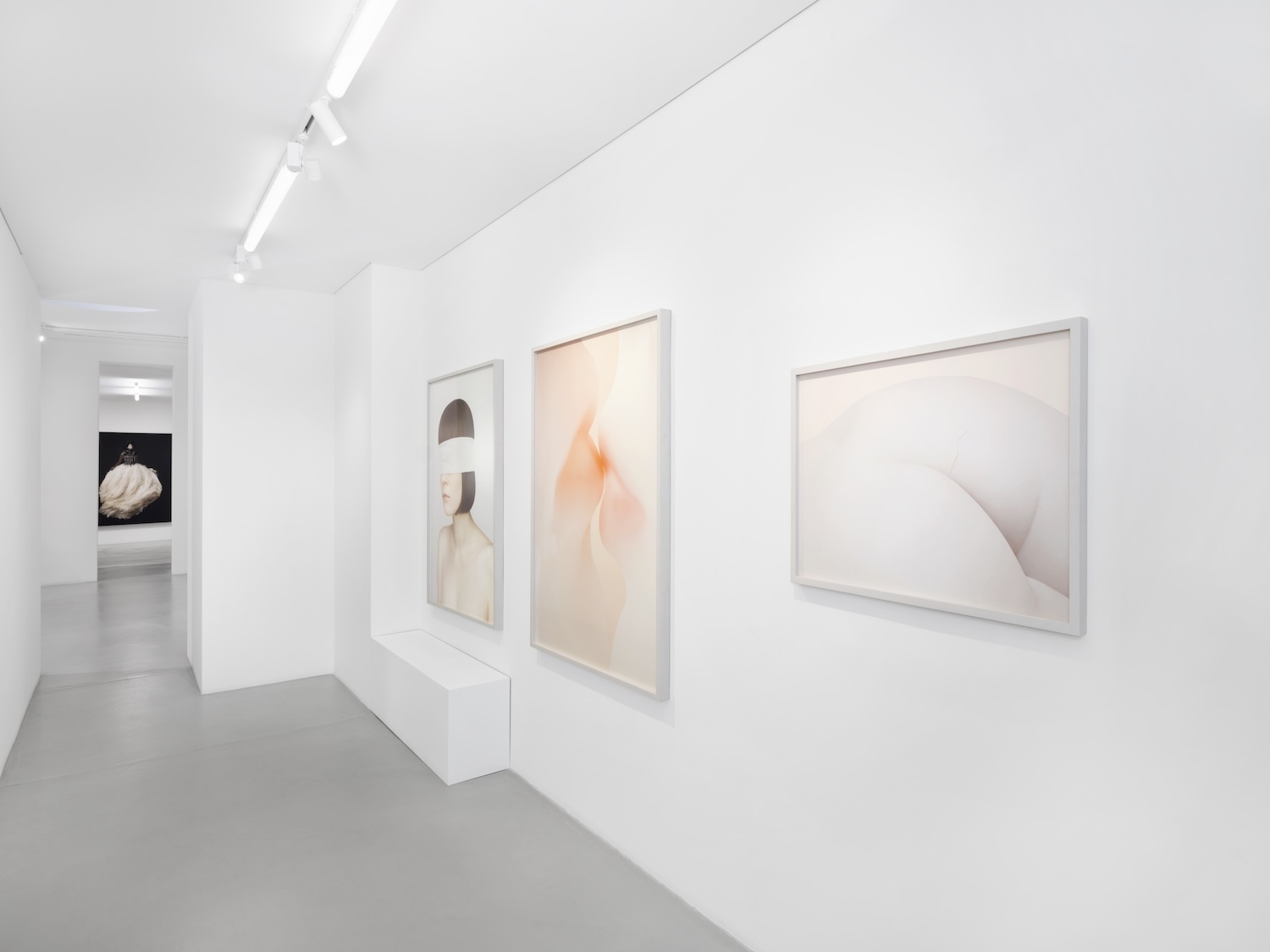 With my Body at Gowen Contemporary