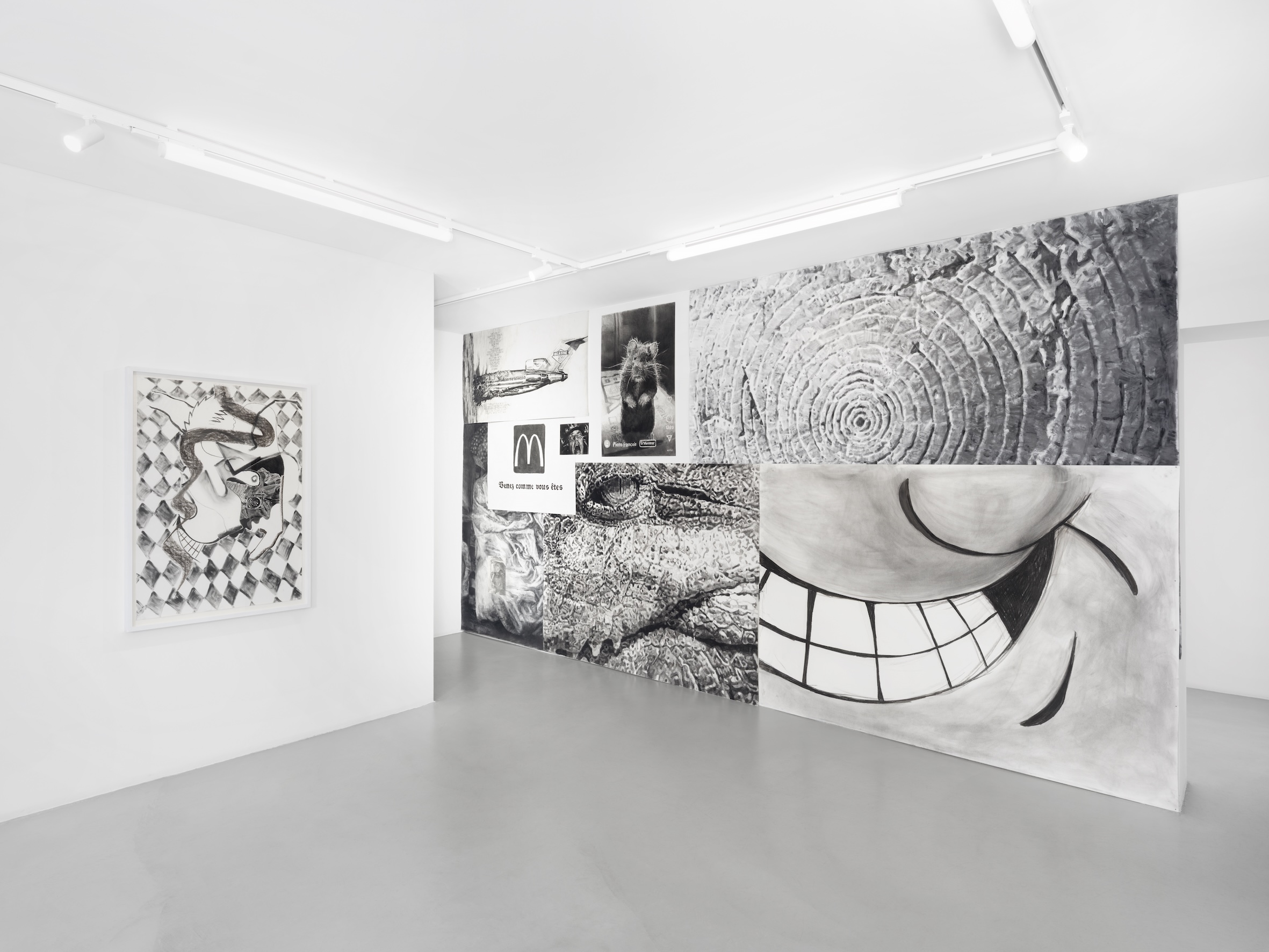 Installation Views at Gowen Contemporary