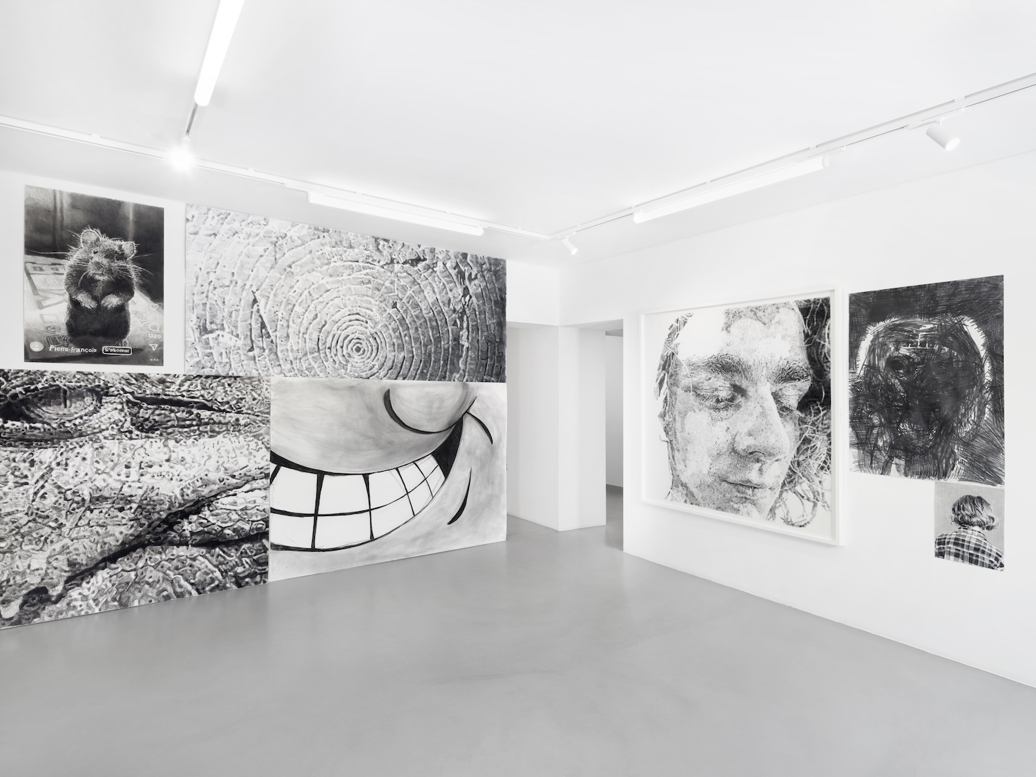 Installation Views at Gowen Contemporary