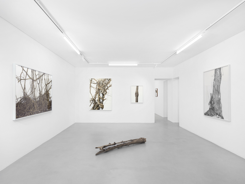 Installation Views at Gowen Contemporary