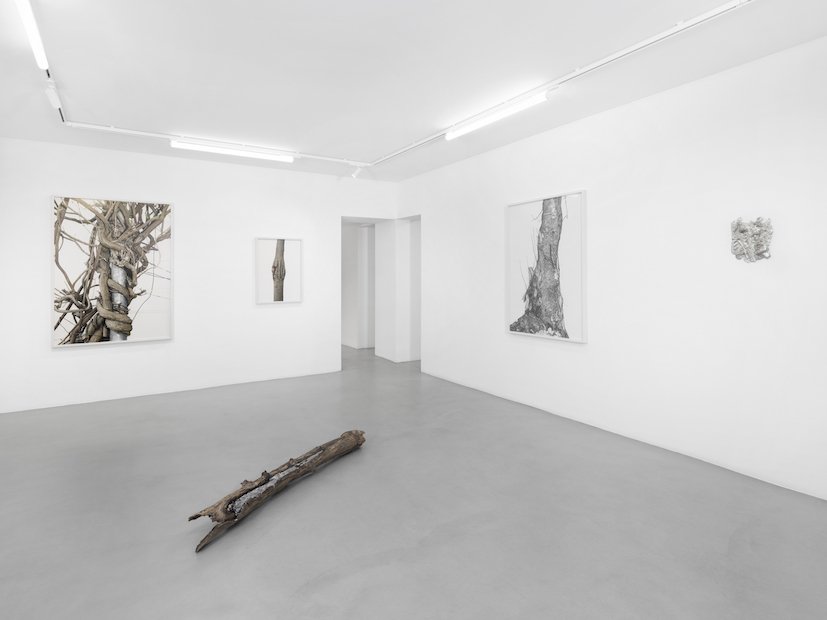 Installation Views at Gowen Contemporary