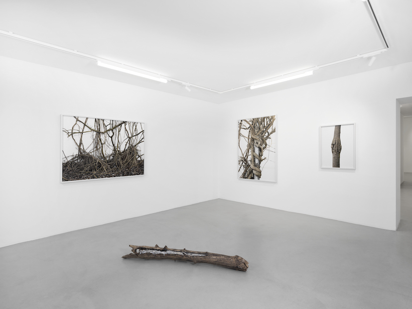 Installation Views at Gowen Contemporary