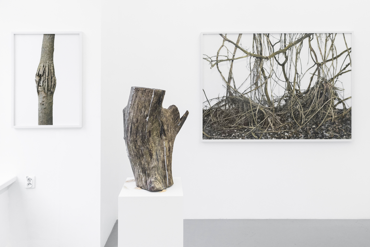 Installation Views at Gowen Contemporary