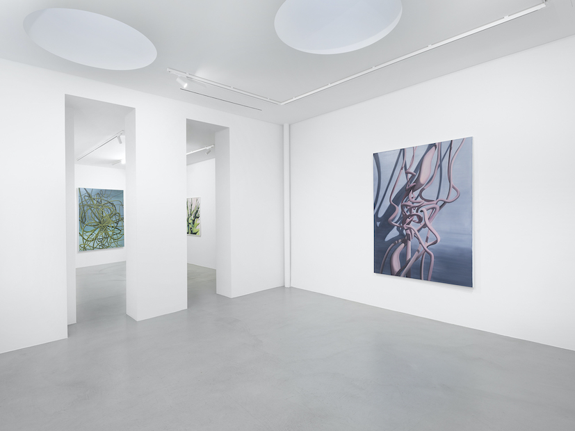 Installation views at Gowen Contemporary