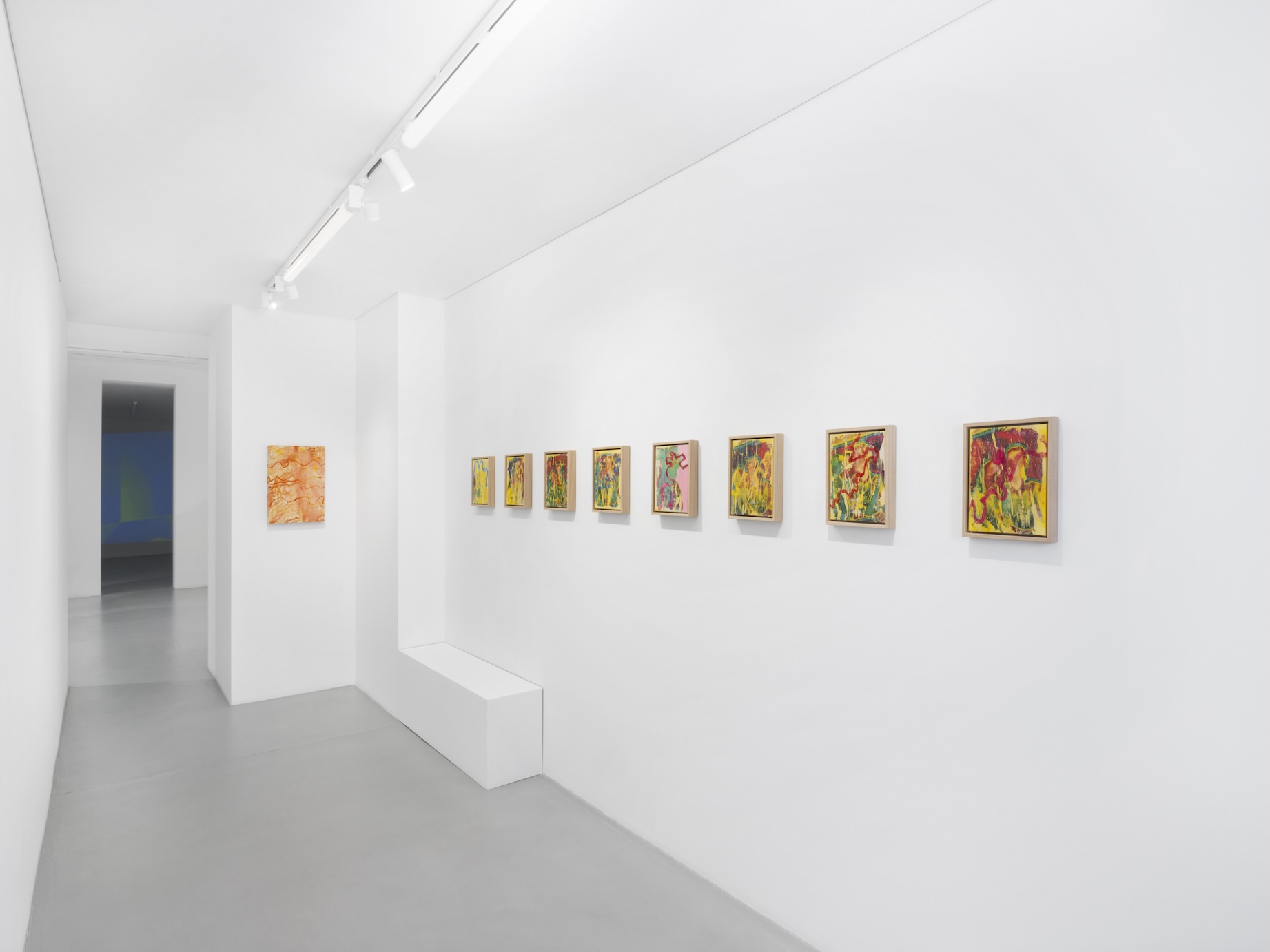 Installation Views at Gowen Contemporary