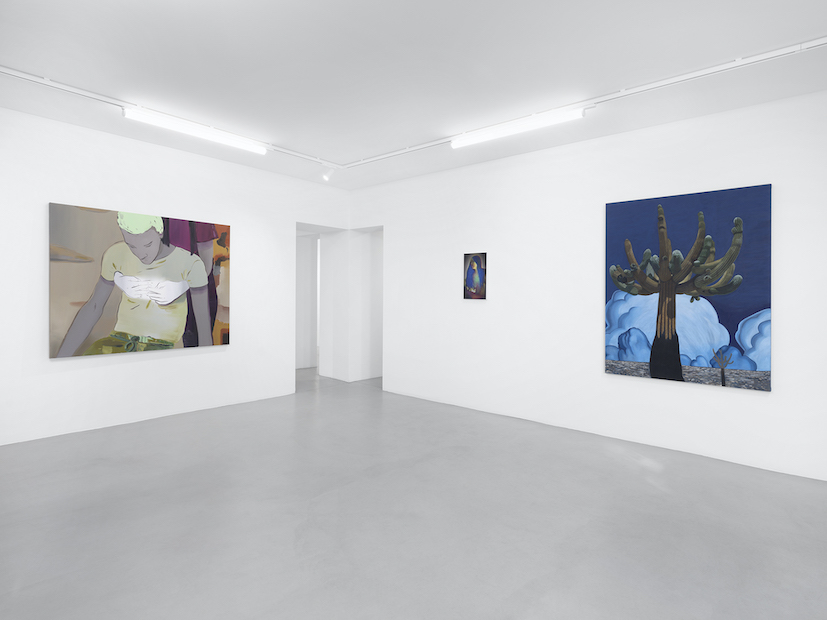 Installation Views at Gowen Contemporary