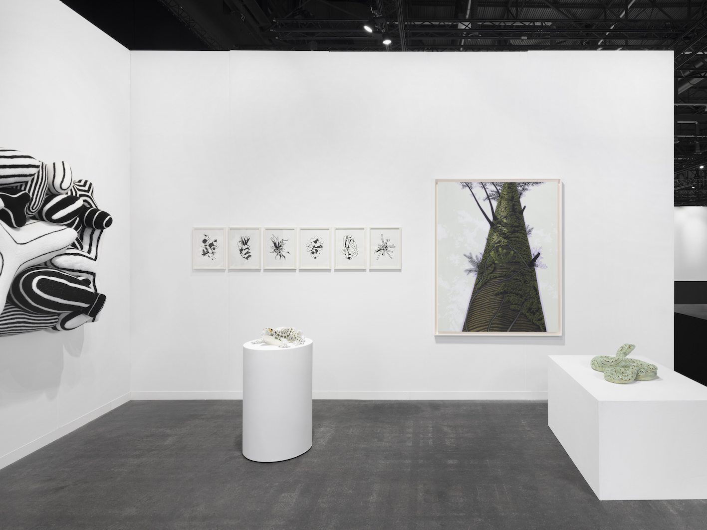 Installation Views at Gowen Contemporary