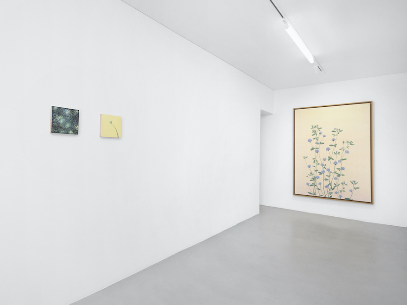 Installation Views at Gowen Contemporary