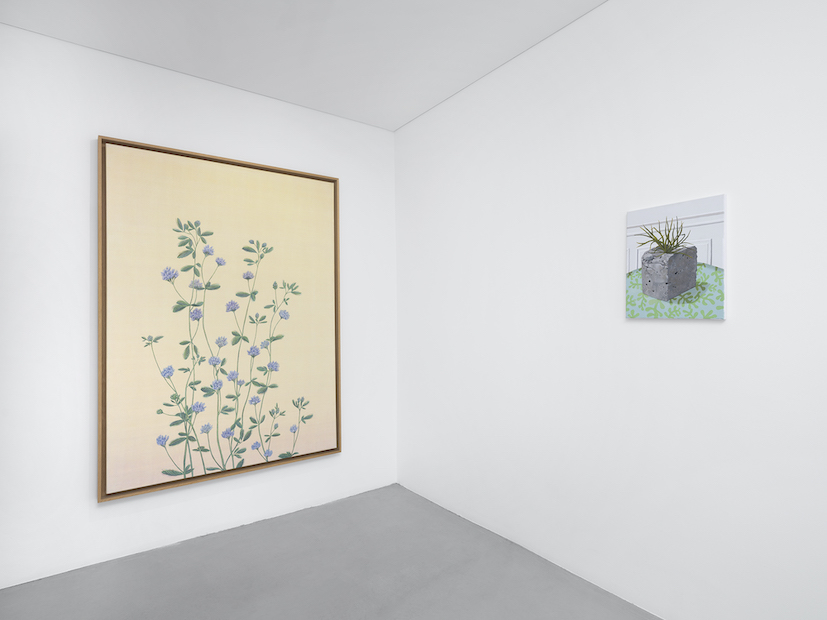 Installation Views at Gowen Contemporary