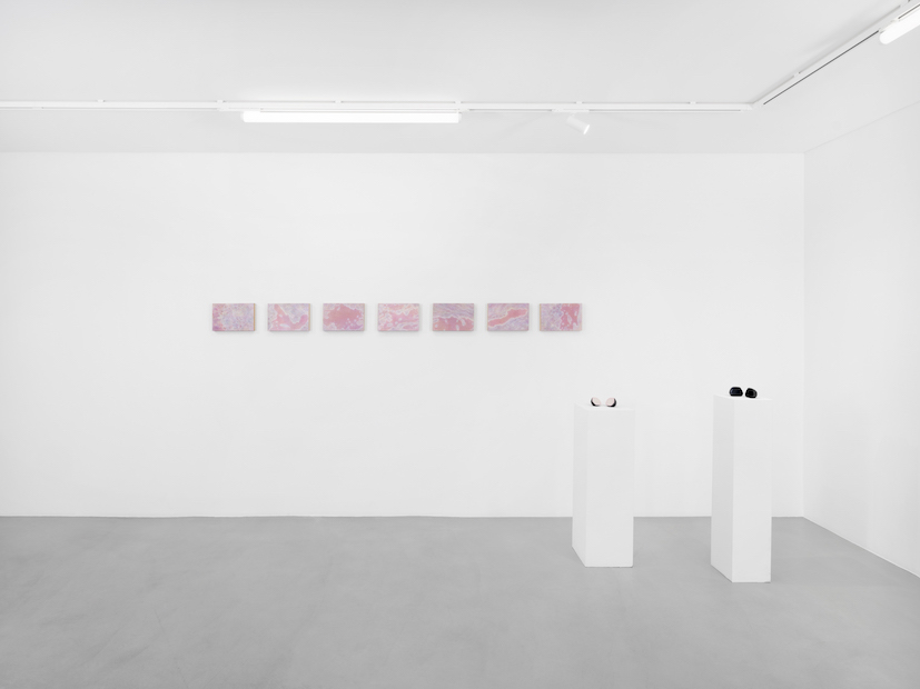 Installation Views at Gowen Contemporary