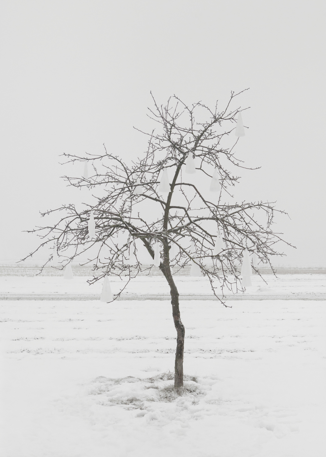 Selected Works at Gowen Contemporary