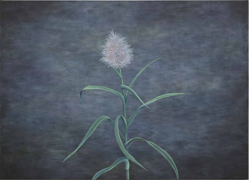 Selected Works at Gowen Contemporary