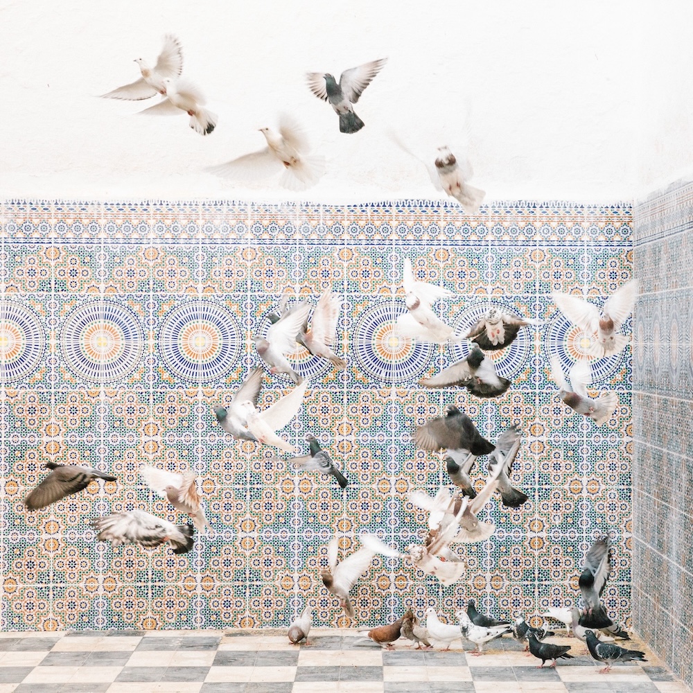 When the Dove Arrives